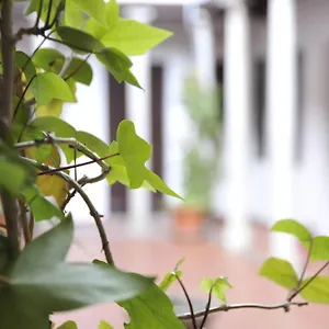 Apartament Adanar-Las Columnas, Grenada